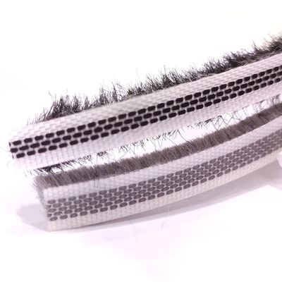 L'étiquette de silicification à la brosse tissée à la pile de laine à la bande météorologique à la brosse à la porte à la fenêtre à la bande avec le certificat ISO9001 2008